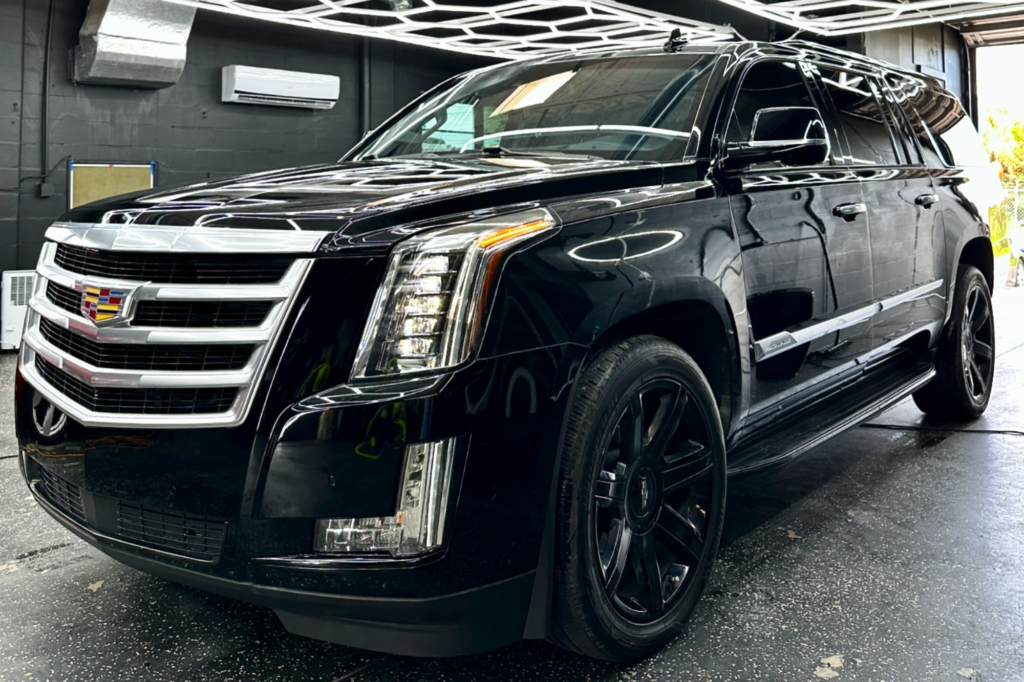 paint correction St. Petersburg FL 